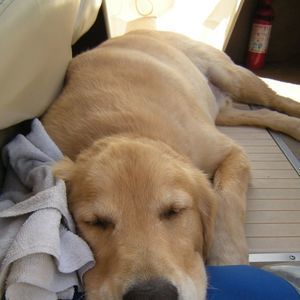 Meet your Posher, Gregory